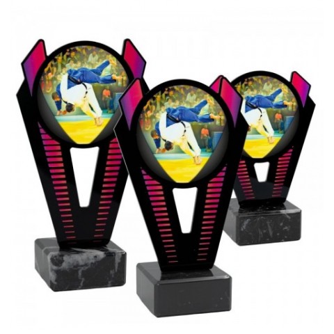 Trofeo Judo Metacrilato 0021