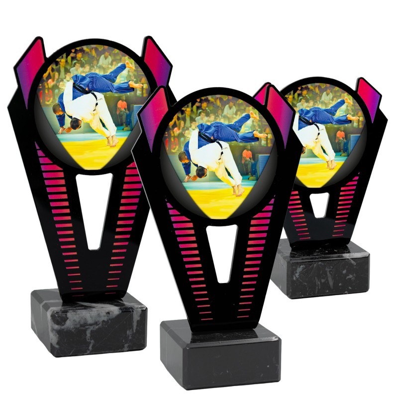Trofeo Judo Metacrilato 0021