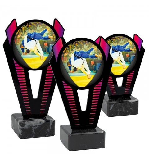 Trofeo Judo Metacrilato 0021