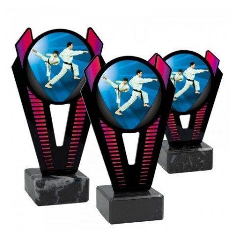 Trofeo Karate Metacrilato 0021