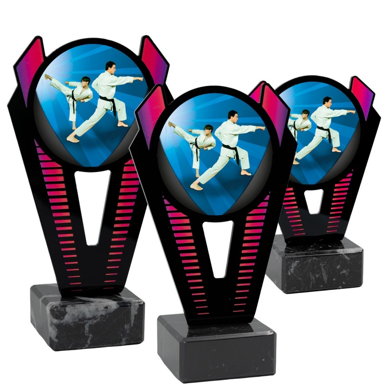 Trofeo Karate Metacrilato 0021