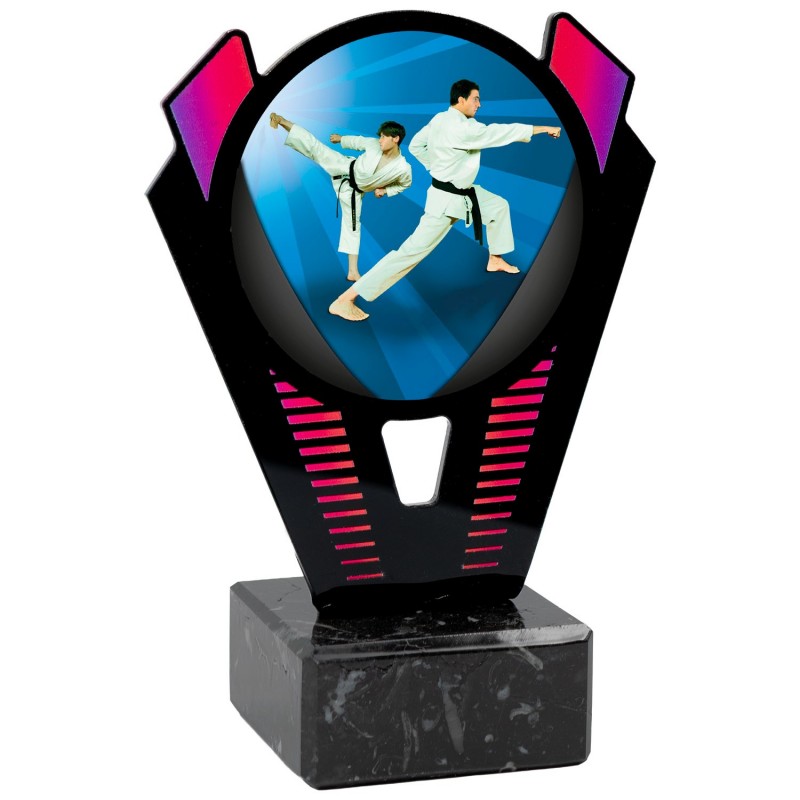 Trofeo Karate Metacrilato 0021