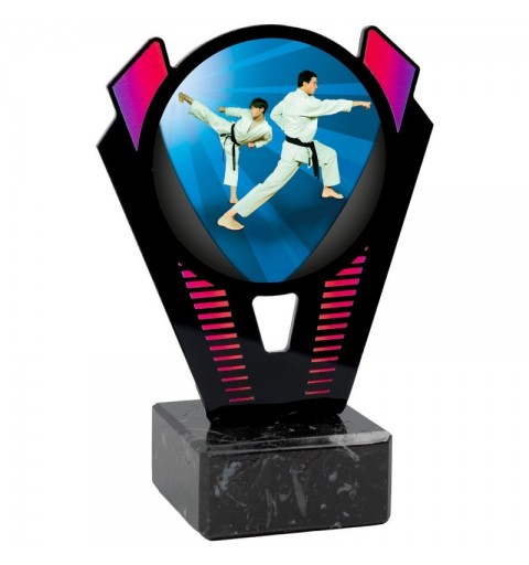Trofeo Karate Metacrilato 0021
