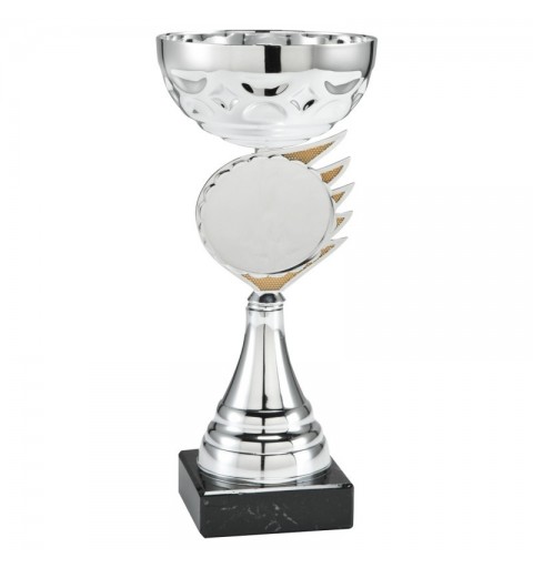 Copa Deportiva 703