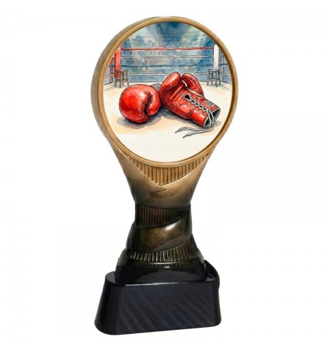 Trofeo Boxeo Boston