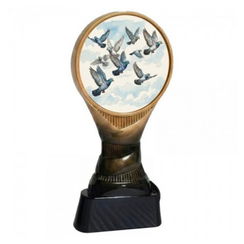 -TROFEO BOSTON COLOMBICULTURA H.16