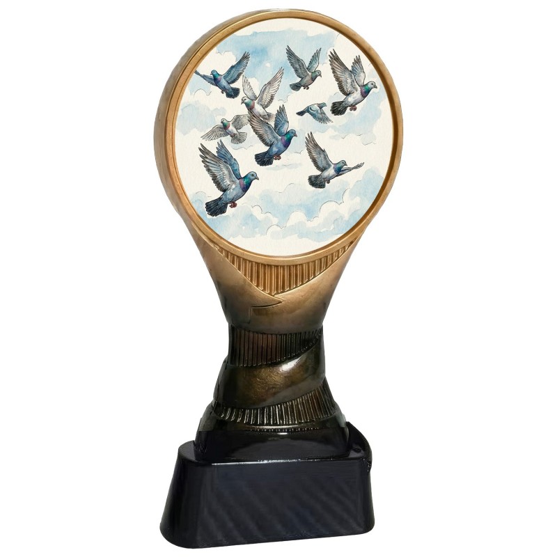 -TROFEO BOSTON COLOMBICULTURA H.16