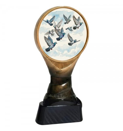 -TROFEO BOSTON COLOMBICULTURA H.16