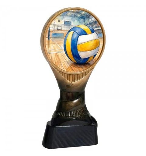 Trofeo Voleibol Boston