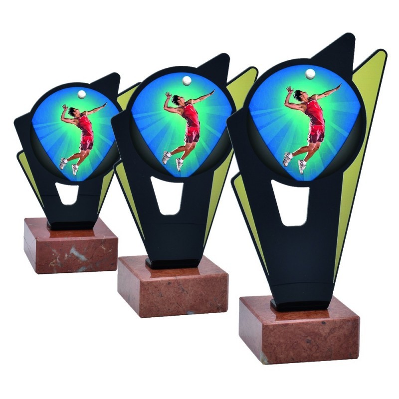 Trofeo Voleibol Masculino Metacrilato 0031