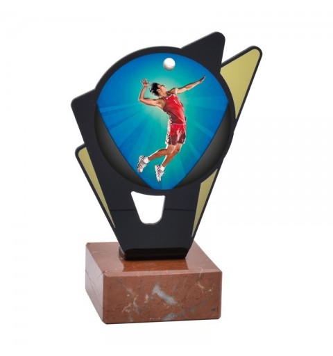 Trofeo Voleibol Masculino Metacrilato 0031